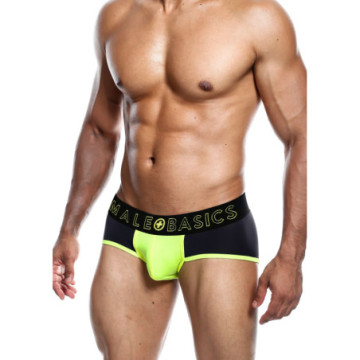 Boxer giallo MaleBasics...