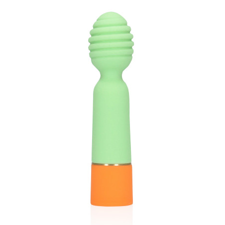 Vibratore mini wand usb ricaricabile spring sage