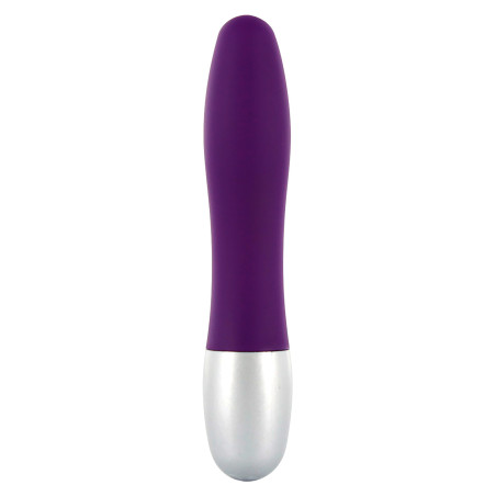 Vibratore classico piccolo Discretion Probe Vibrator purple
