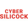 Cyber Silicock